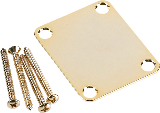 Placa para Brazo Fender Estilo Vintage de 4 Pernos (sin Logotipo