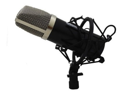 Microfono Vocal Unidireccional de Estudio Marca Radox Mod: